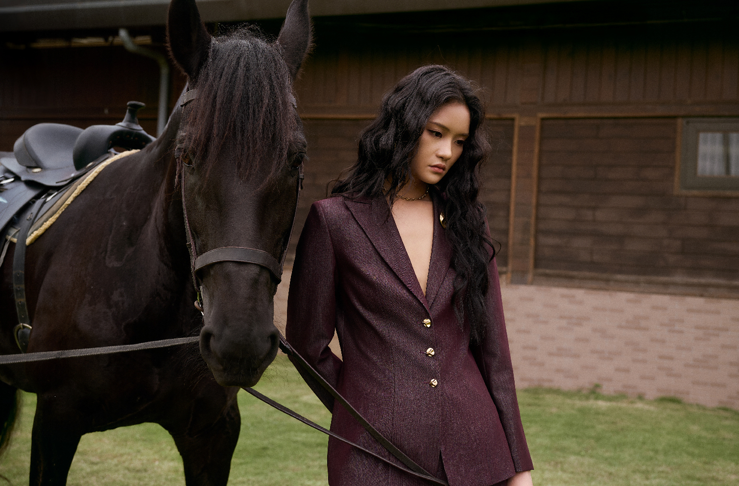 The Warm Shelter The Warm Shelter - AW 2025