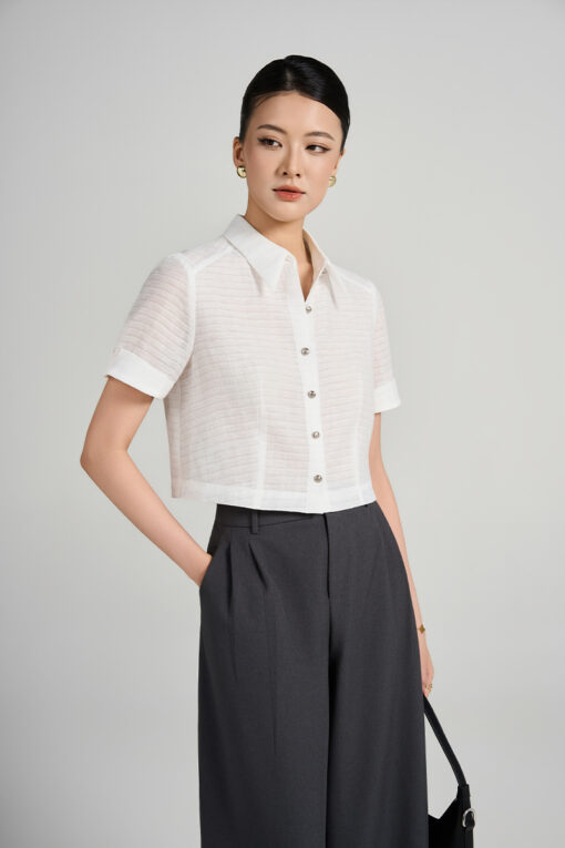 Sơ mi CT croptop tay lơ vê vát