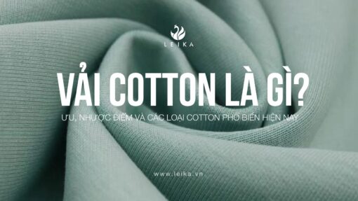 Chinh phục mọi thời tiết với vải cotton - Ưu, nhược điểm và các loại cotton phổ biến hiện nay