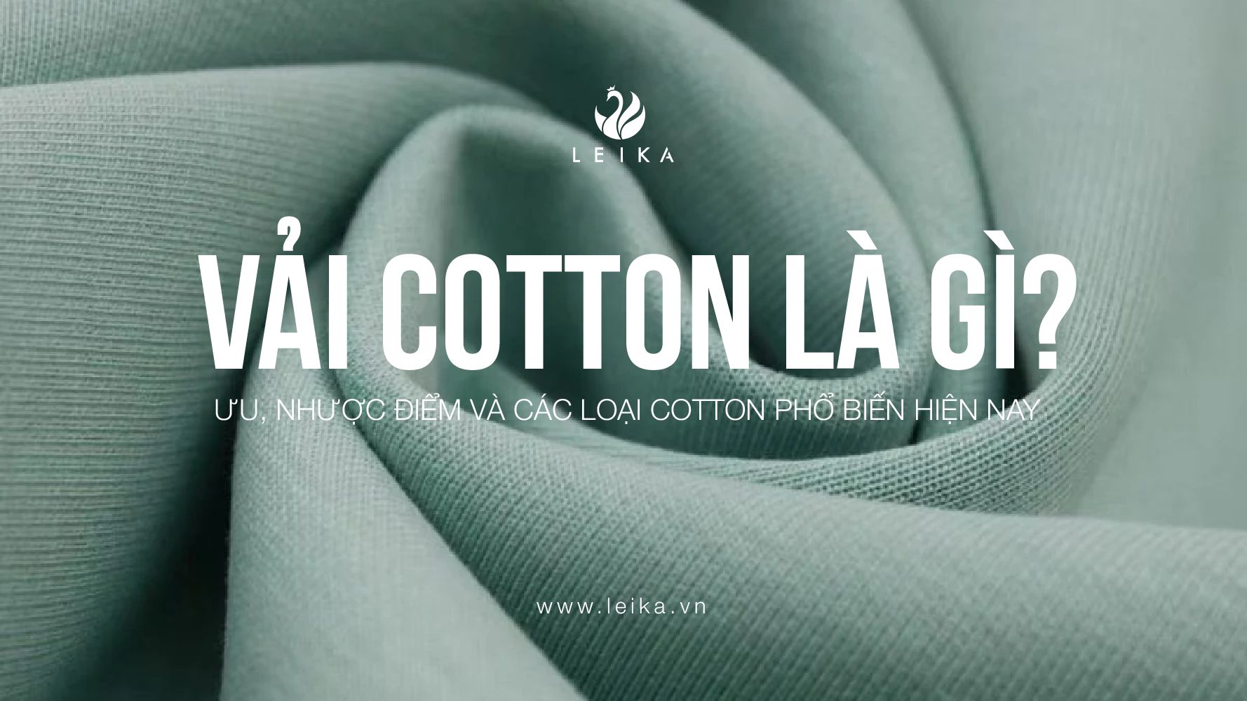 Chinh phục mọi thời tiết với vải cotton - Ưu, nhược điểm và các loại cotton phổ biến hiện nay