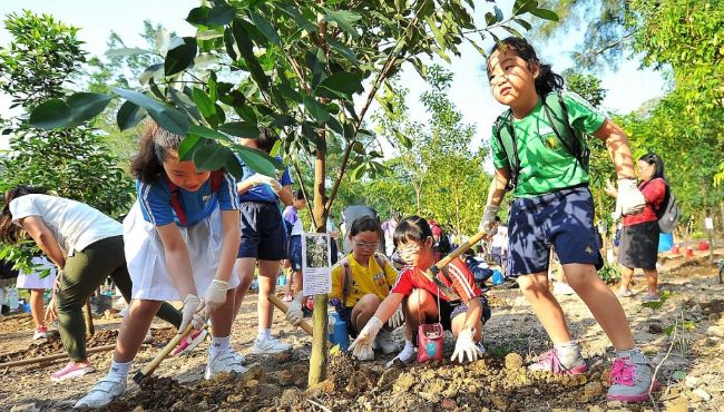 Khám phá phong cách sống xanh - sống khỏe cho cuộc sống hiện đại