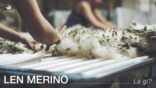 Len merino là gì? Ứng dụng len merino trong thời trang