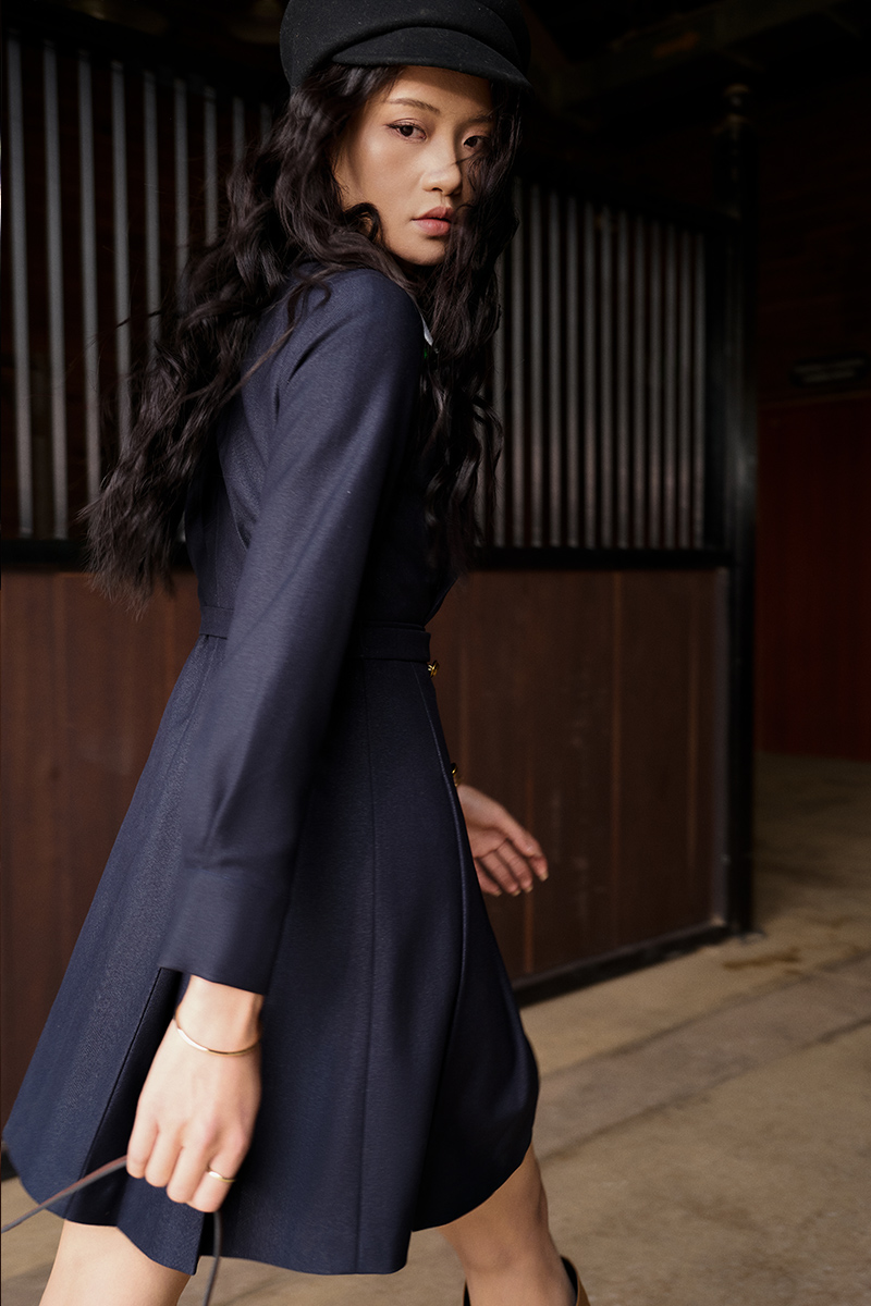 Đầm A cổ tròn tùng xếp ly đính cúc TT Đầm A cổ tròn tùng xếp ly đính cúc TT