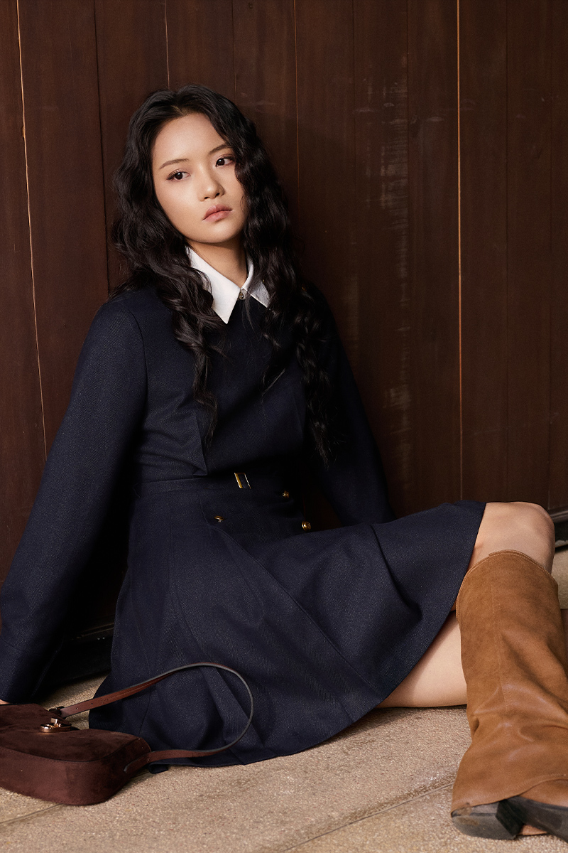 Đầm A cổ tròn tùng xếp ly đính cúc TT Đầm A cổ tròn tùng xếp ly đính cúc TT