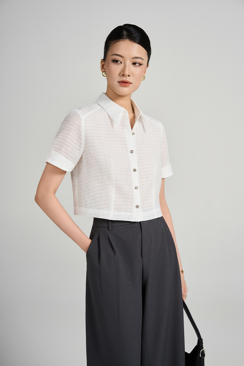 Sơ mi CT croptop tay lơ vê vát
